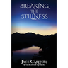 Breaking the Stillness