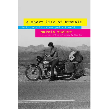 A Short Life of Trouble: Forty Years in the New York Art World