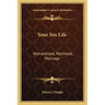 Your Sex Life: Womanhood, Manhood, Marriage