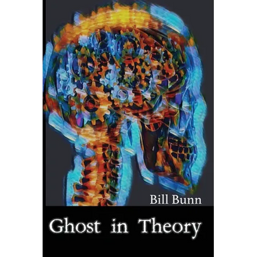 Ghost In Theory