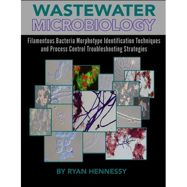 Wastewater Microbiology, Filamentous Bacteria Morphotype Identification Techniques, and Process Control Troubleshooting Strategies