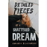 Detailed Pieces of a Shattered Dream