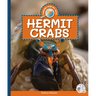 Hermit Crabs