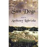 Sun Dogs
