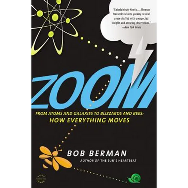 Zoom: From Atoms and Galaxies to Blizzards and Bees: How Everything Moves