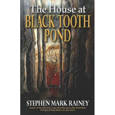 The House at Black Tooth Pond