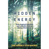 Hidden Energy: Tesla-inspired inventors and a mindful path to energy abundance
