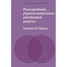 Photosynthesis: Physical Mechanisms and Chemical Patterns
