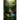 The Chamber of Eternity