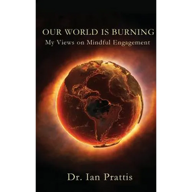 Our World Is Burning: My Views on Mindful Engagement