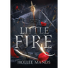 Little Fire