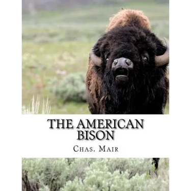 The American Bison: Its Habits, Method of Capture and Economic Use In The North West