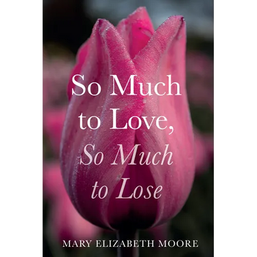 So Much to Love, So Much to Lose