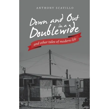 Down and out in a Doublewide and Other Tales of Modern Life