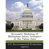 Kinematic Modeling of Multiphase Solute Transport in the Vadose Zone
