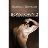 Boystown 2: Three More Nick Nowak Mysteries