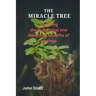 The Miracle Tree: Exploring the nutritional and medicinal benefits of moringa