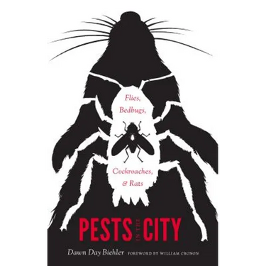 Pests in the City: Flies, Bedbugs, Cockroaches, and Rats