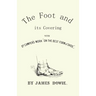 The Foot and its Covering with Dr. Campers Work "On the Best Form of Shoe"
