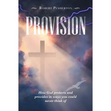 Provision: How God Protects and Provides in Ways You Could Never Think Of