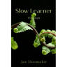 Slow Learner