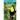 Toucans