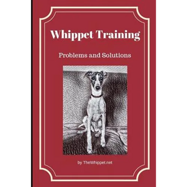 Whippet Training: Problems and Solutions