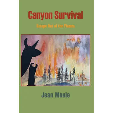 Canyon Survival: Escape Out of the Flames