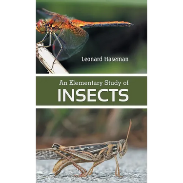 An Elementary Study of insects
