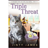Triple Threat: A Norwegian Forest Cat Café Cozy Mystery - Book 17