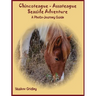 Chincoteague-Assateague Seaside Adventure: A Photo-Journey Guide