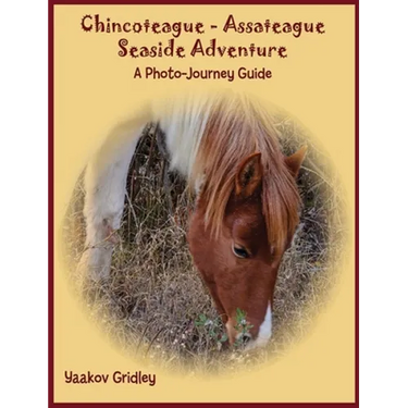 Chincoteague-Assateague Seaside Adventure: A Photo-Journey Guide
