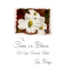 The Crowns of the Believers: Set Apart, Surrounded, Shielded