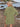 746b5bf8-9516-42c4-8ae8-5f0704238d61-Max