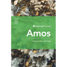 Journey Through Amos: 30 Biblical Insights by J.R. Hudberg