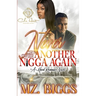 Never Cry Over Another N*gga Again: A Hood Romance Novel