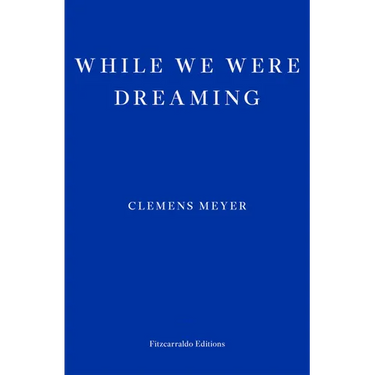 While We Were Dreaming