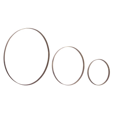 Iron Metal Rings Wall Display (Set of 3)