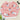 78d6eb98-dd82-4e5b-a5cb-107d08854e0d-Max