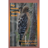Sky Queen, Hunting Hawk: The English Archer Series