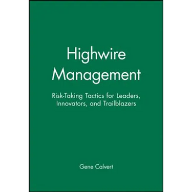 Highwire Management: Risk-Taking Tactics for Leaders, Innovators, and Trailblazers