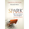 Spark: Take Your Business from Struggle to Significance
