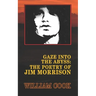 Gaze Into the Abyss: The Poetry of Jim Morrison (Annotated): A Critical Analysis
