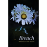 Breach