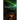 The Haunting