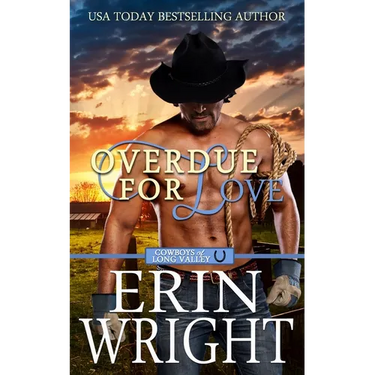 Overdue for Love: A Secret Baby Western Romance