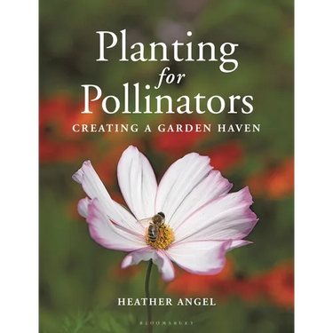 Planting for Pollinators: Creating a Garden Haven