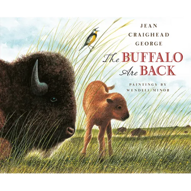 The Buffalo Are Back
