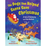 The Dogs That Helped Santa Save Christmas: A Tale of McHenry and Finn McCool