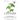 Cannabis: High CBD Hemp, Hemp Essential Oil and Hemp Seed Oil: The Cannabis Medicines of Aromatherapy's Own Medical Marijuana